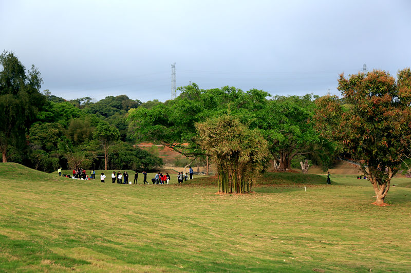 半山公園風景圖 (2).JPG